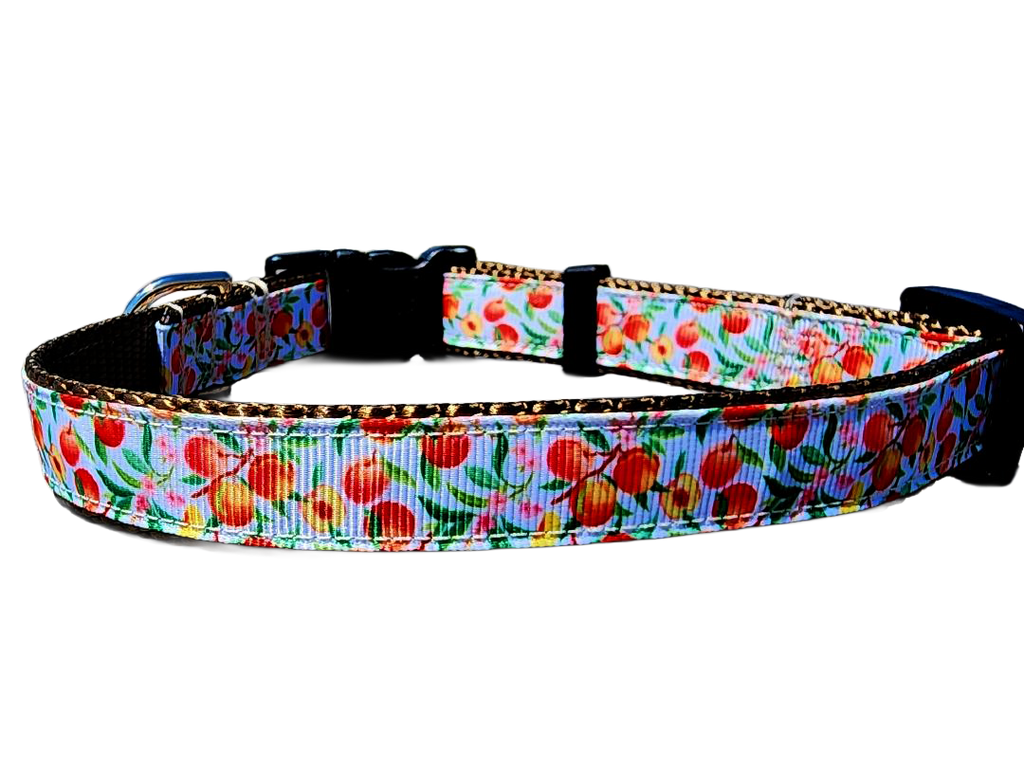 3/4" Peach Dog Collar or Leash