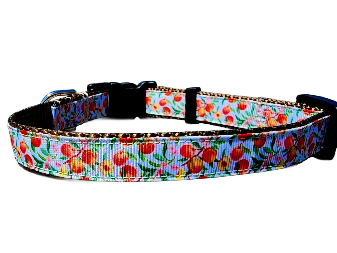 3/4" Peach Dog Collar or Leash