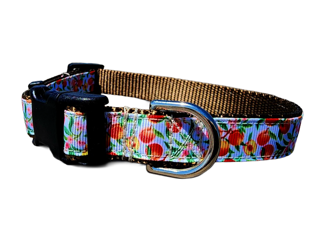 3/4" Peach Dog Collar or Leash