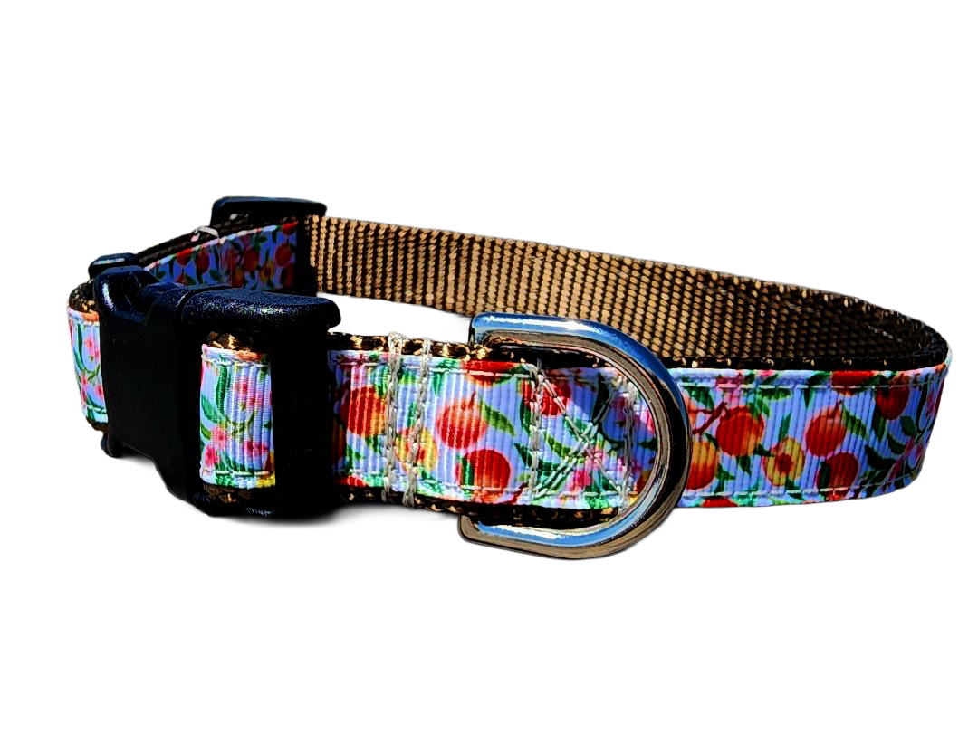 3/4" Peach Dog Collar or Leash