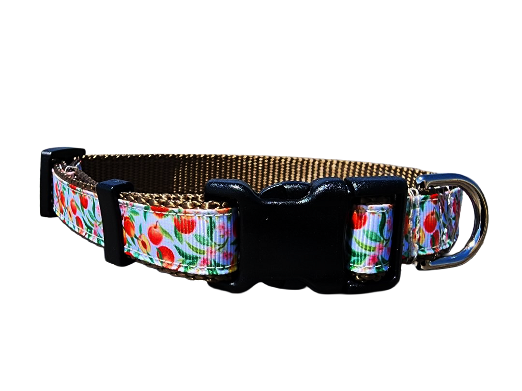 3/4" Peach Dog Collar or Leash