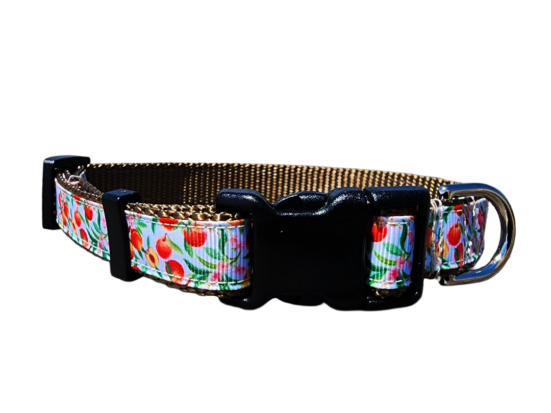 3/4" Peach Dog Collar or Leash