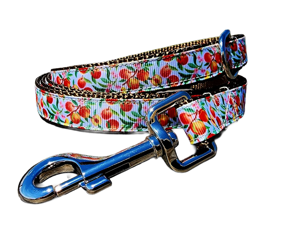 3/4" Peach Dog Collar or Leash