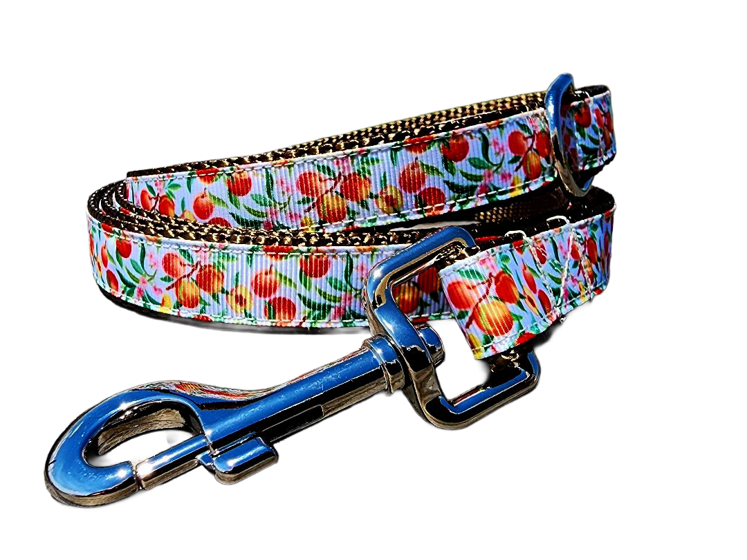 3/4" Peach Dog Collar or Leash