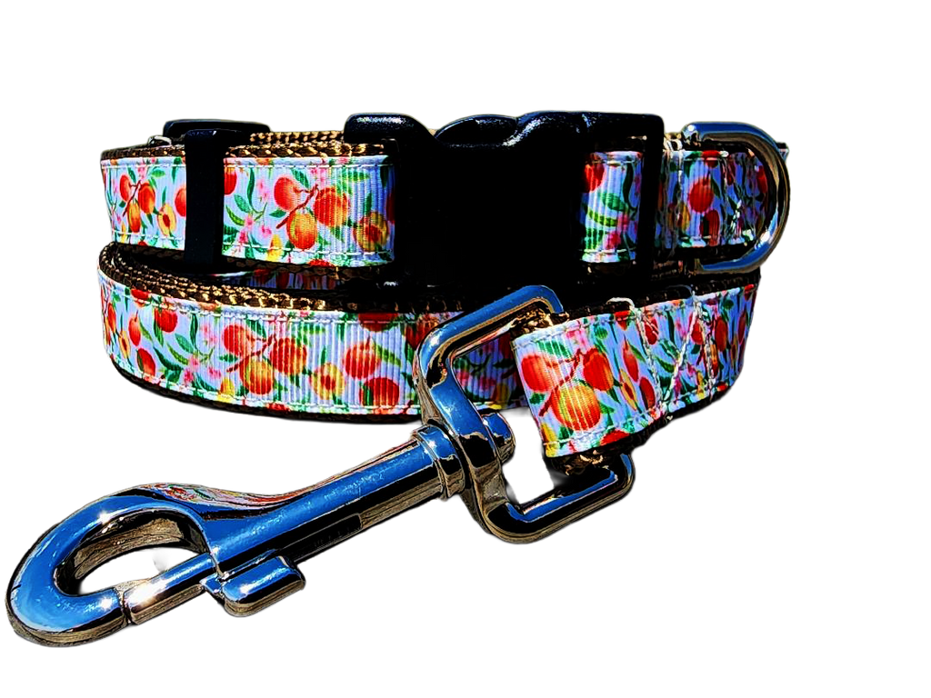 3/4" Peach Dog Collar or Leash