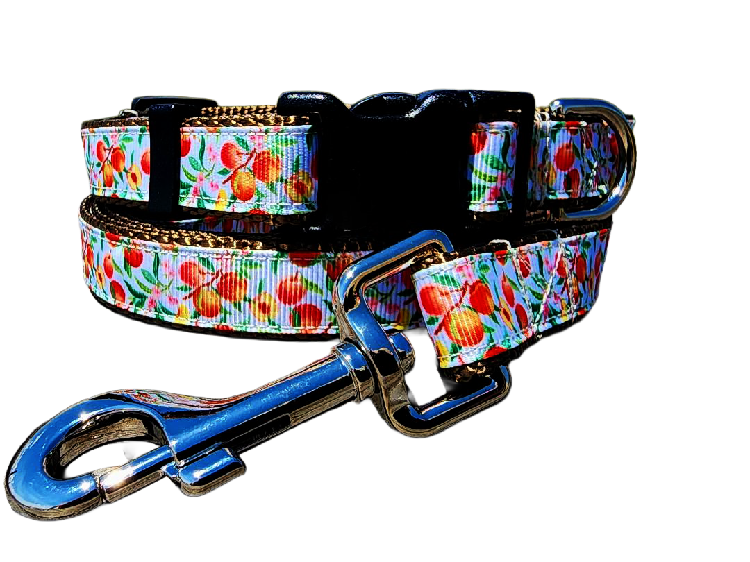 3/4" Peach Dog Collar or Leash