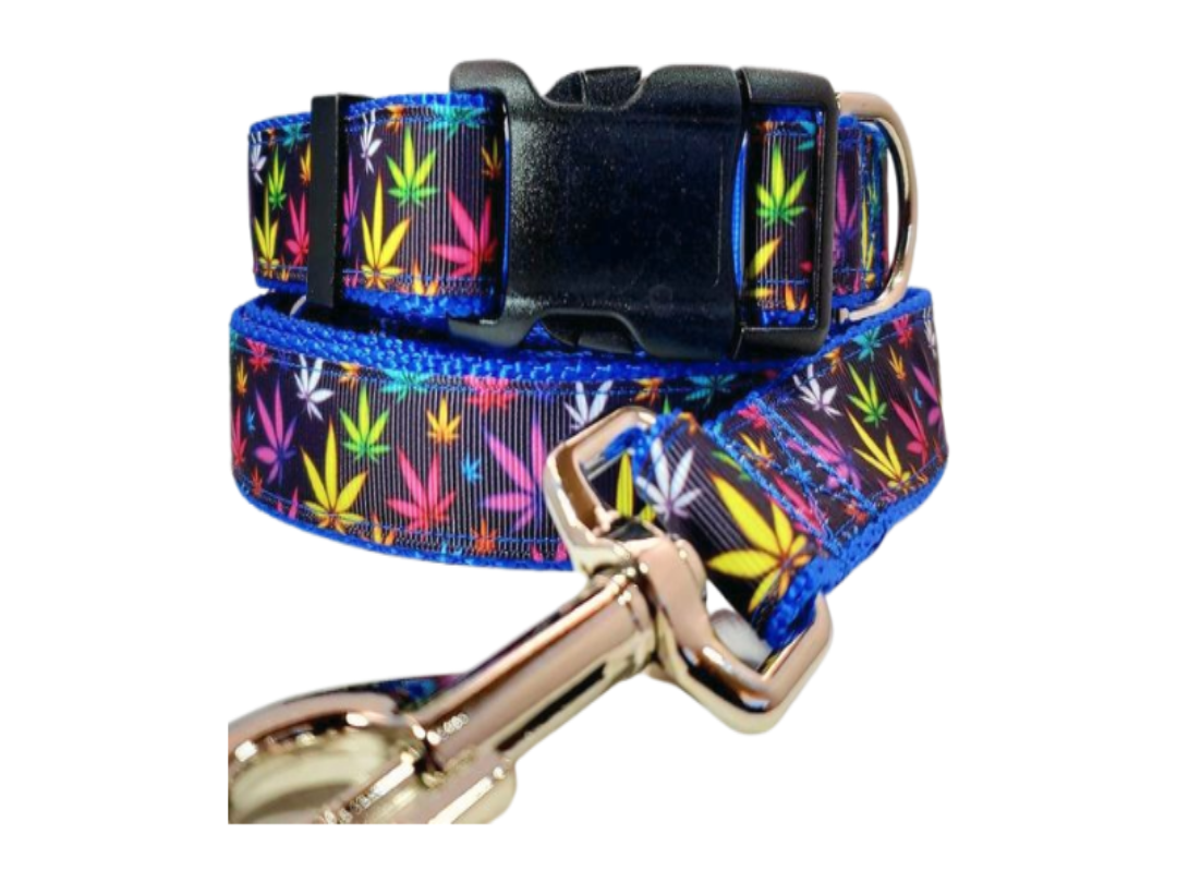 Blue Marijuana Dog Collar, Leash, Martingale, or Harness image 0