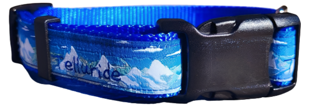 Telluride Colorado Dog Collar, Leash, Martingale, or Harness image 5
