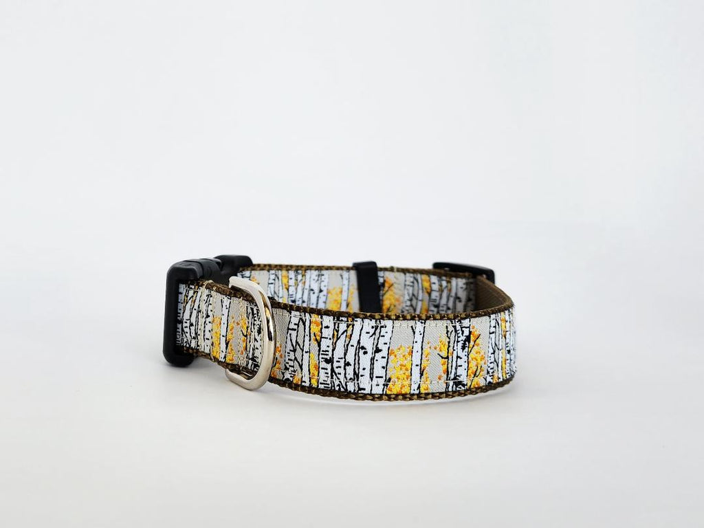 1" Aspen Tree Dog Collar or Leash image 5