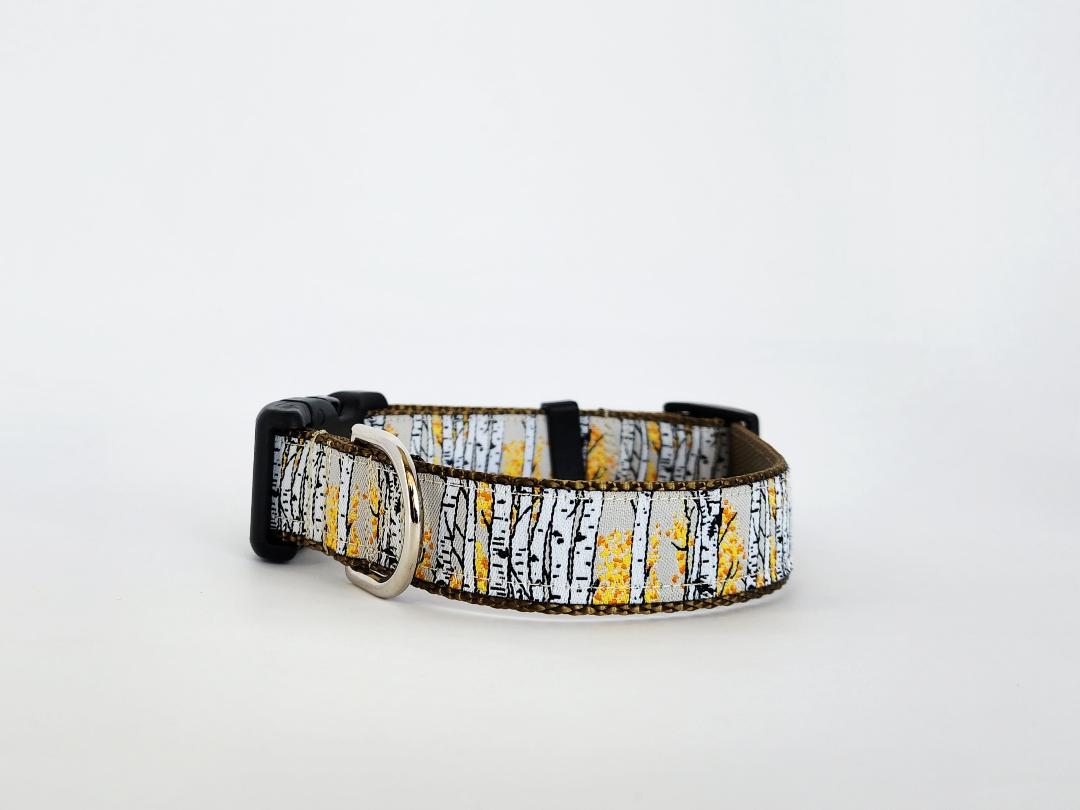 1" Aspen Tree Dog Collar or Leash image 5