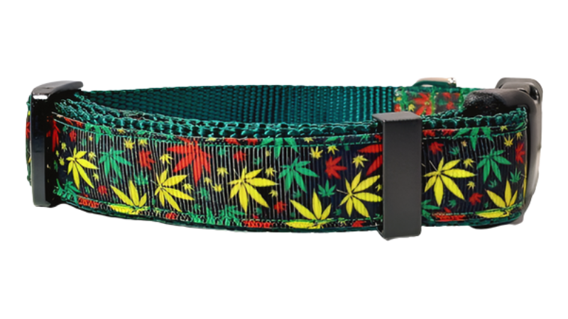 Marijuana Dog Collar, Leash, Martingale, or Harness image 1