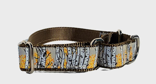 1" Aspen Tree Martingale Collar or Leash image 1