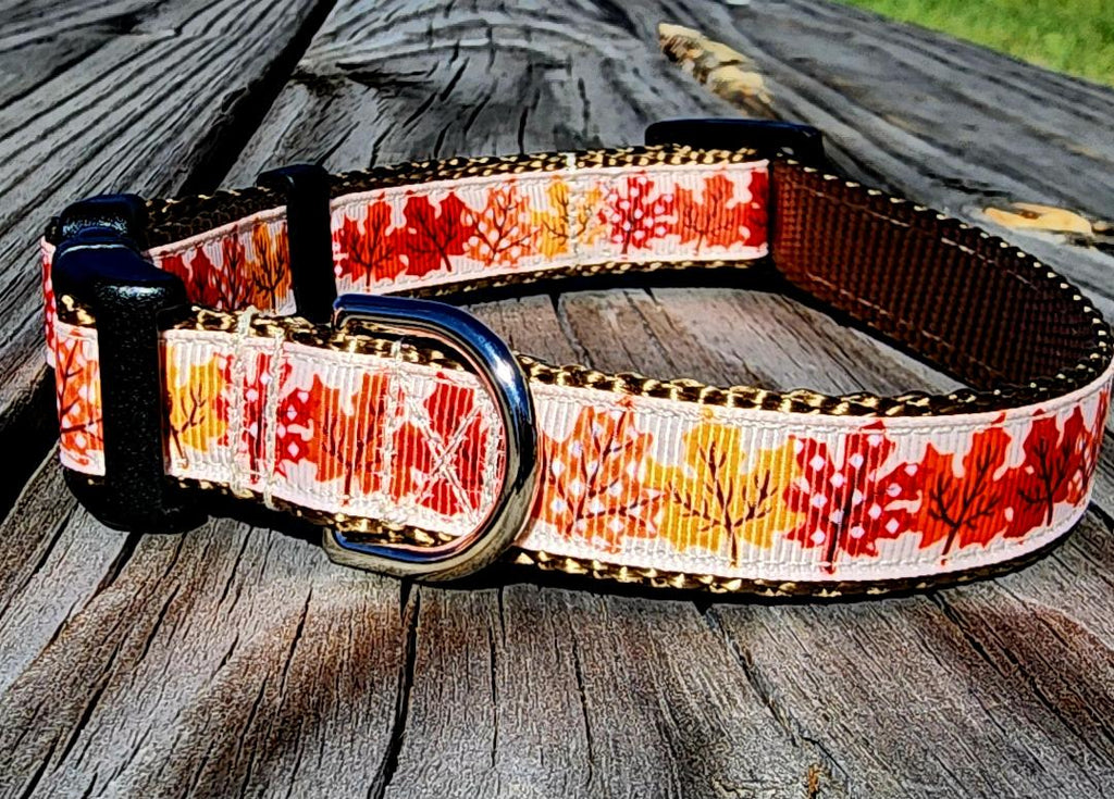 3/4" Fall Leaves Dog Collar, Leash, or Martingale image 2