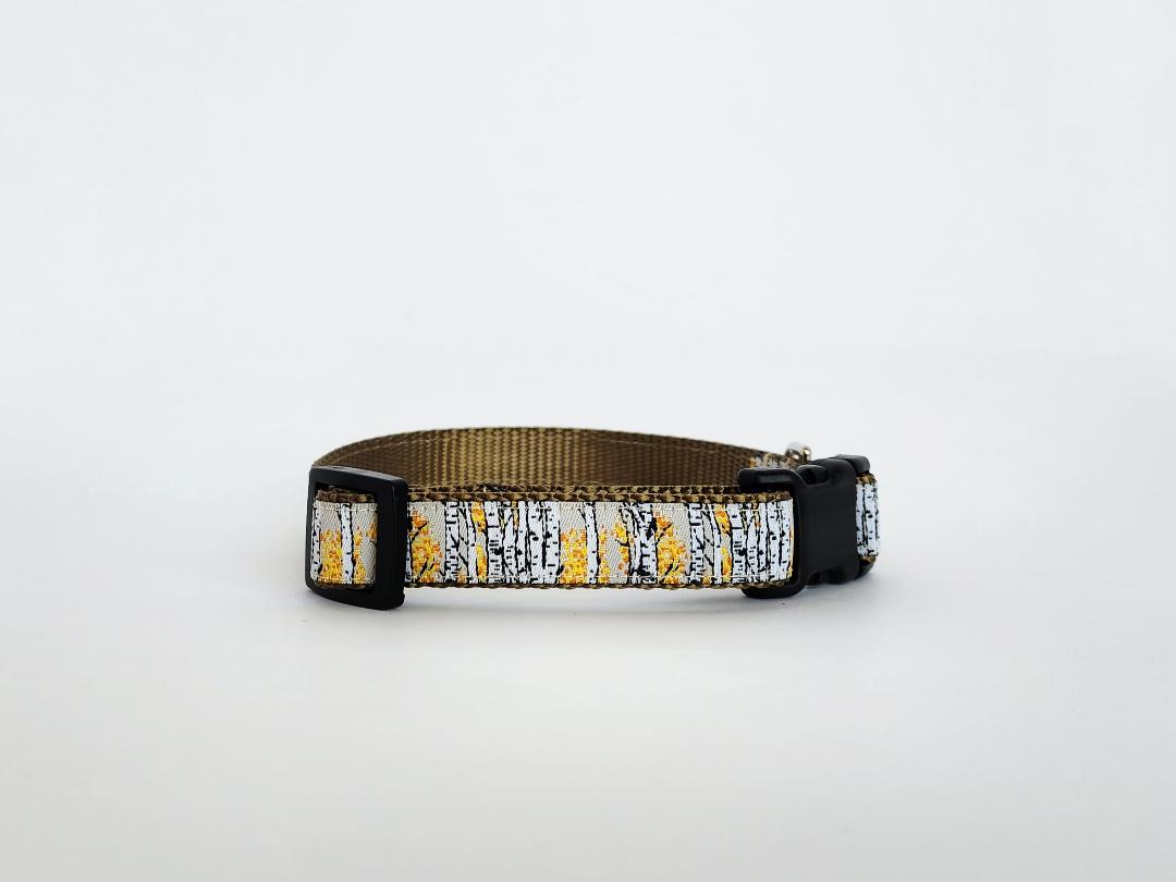 3/4" Aspen Tree Dog Collar image 1