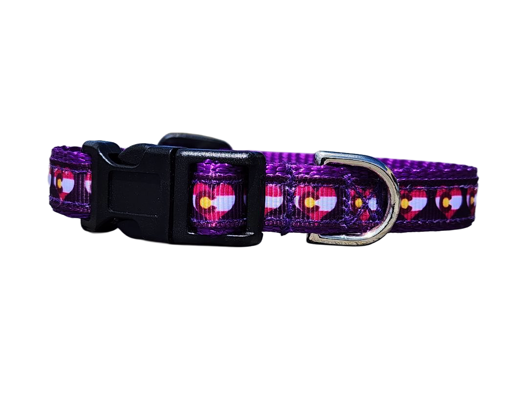 1/2" Purple or Pink Colorado Dog Collar, Leash, or Harness image 4
