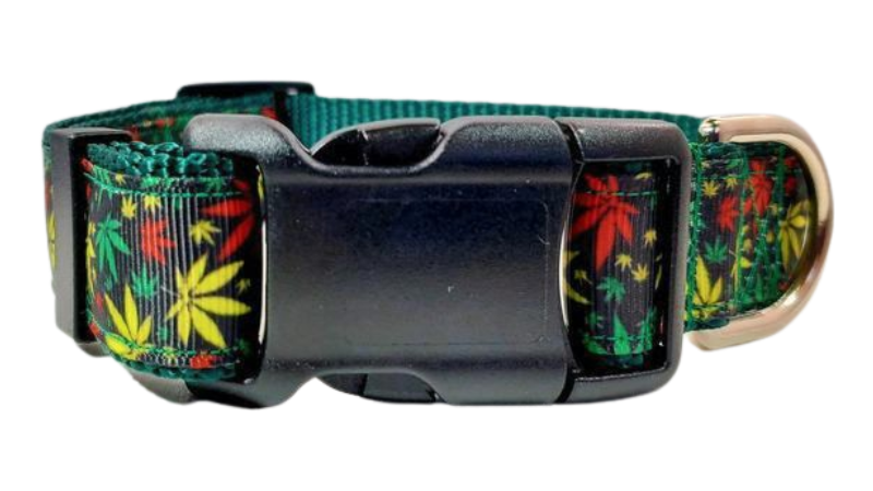 Marijuana Dog Collar, Leash, Martingale, or Harness image 3