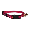 Colorado Cat Collar or Leash image 1