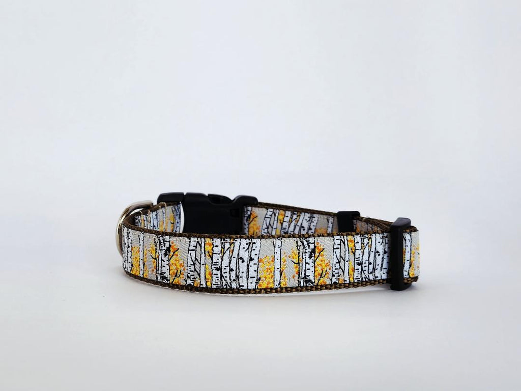 1" Aspen Tree Dog Collar or Leash image 1