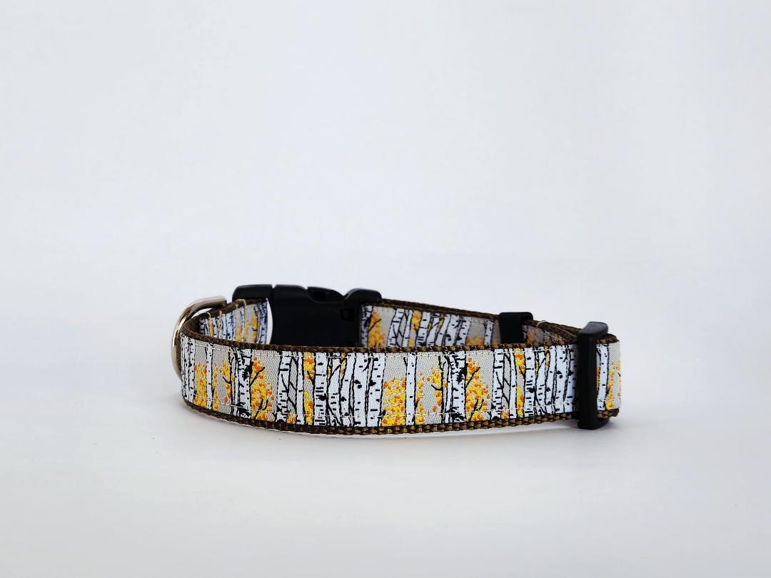 1" Aspen Tree Dog Collar or Leash image 1