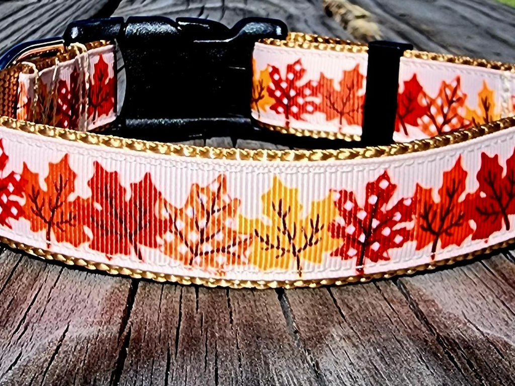 1" Fall Leaves Dog Collar, Leash, or Martinale image 3