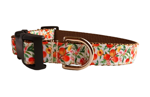 1" Peach Dog Collar, Leash, Martingale, or Harness image 1