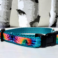 1/2" Tie Dye Dog Collar, Leash, or Harness image 2