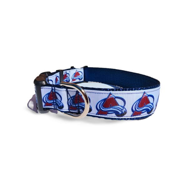 1" Avalanche Dog Collar, Leash, Martingale, or Harness image 1