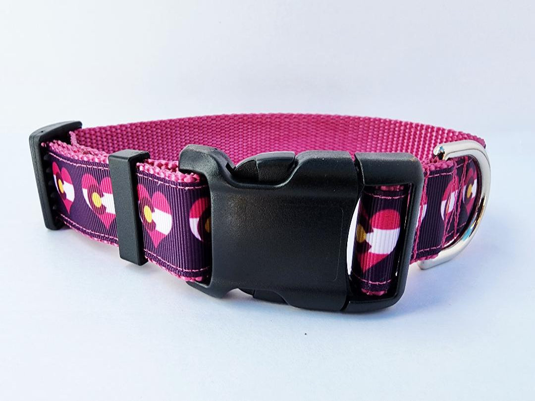 1" Pink Colorado Dog Collar or Leash 