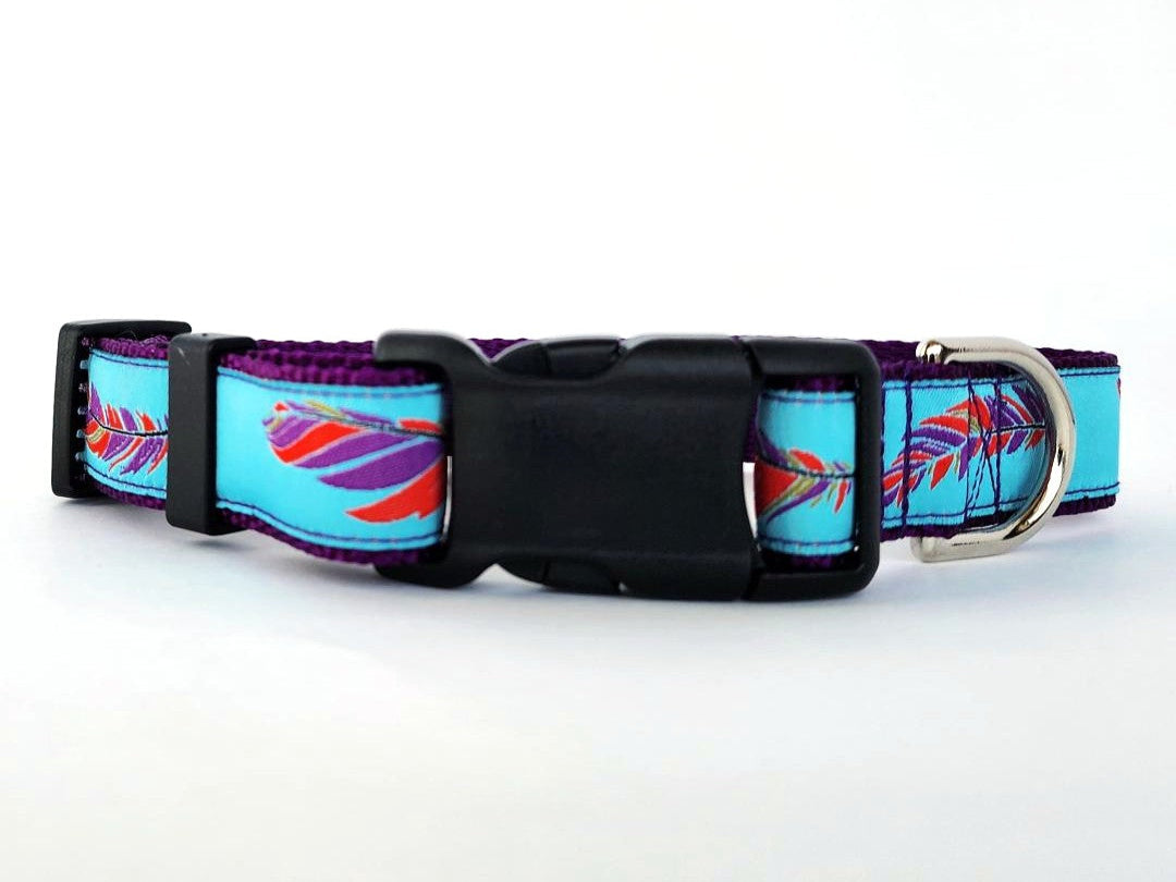 1" Southwest Feather Dog Collar, Leash, or Martingale - 1" wide image 0
