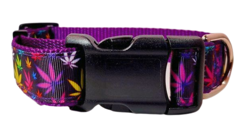 Purple Marijuana Dog Collar, Leash, Martingale, or Harness image 4