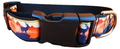 1" Deer Hunting Dog Collar, Leash, or Martingale image 2