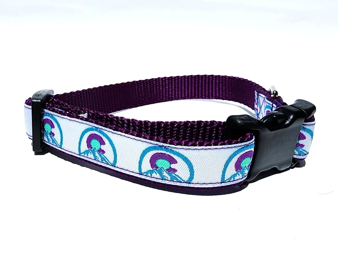 Colorado Purple Dog Collar or Leash image 5