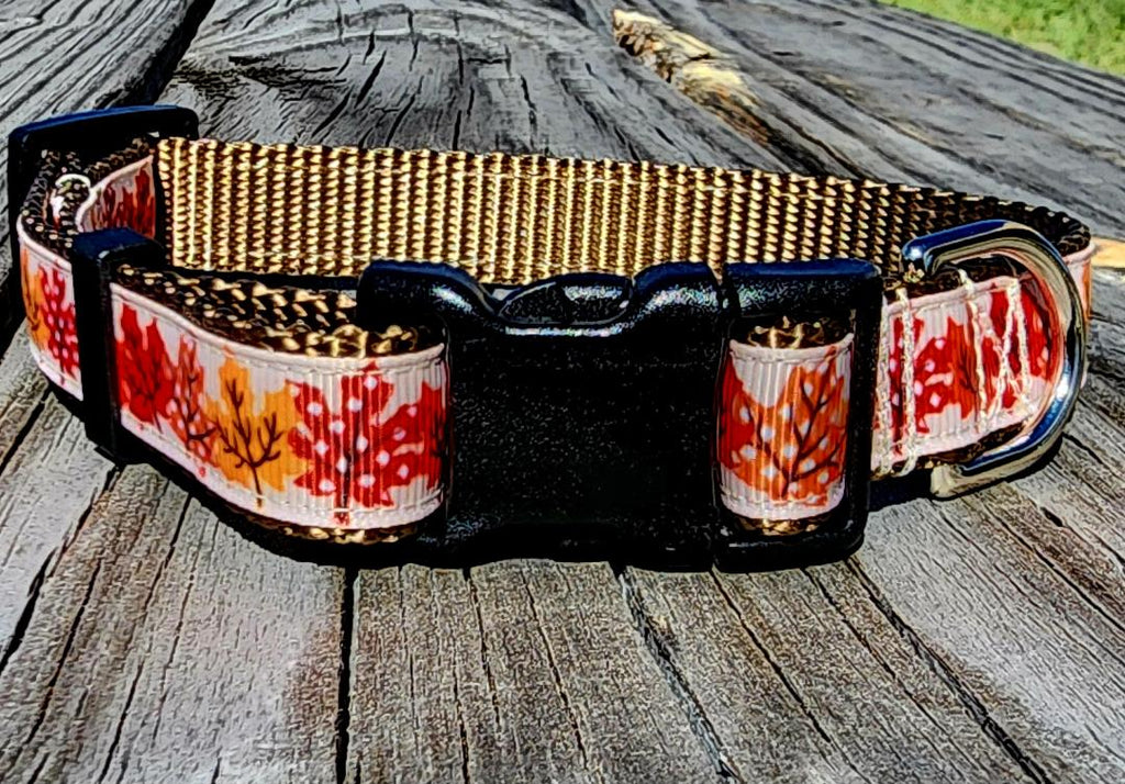 3/4" Fall Leaves Dog Collar, Leash, or Martingale image 4