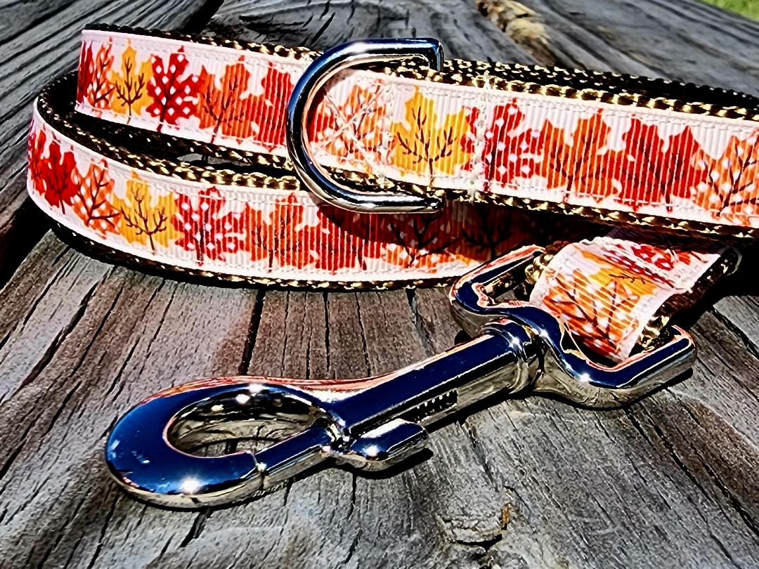 3/4" Fall Leaves Dog Collar, Leash, or Martingale image 1