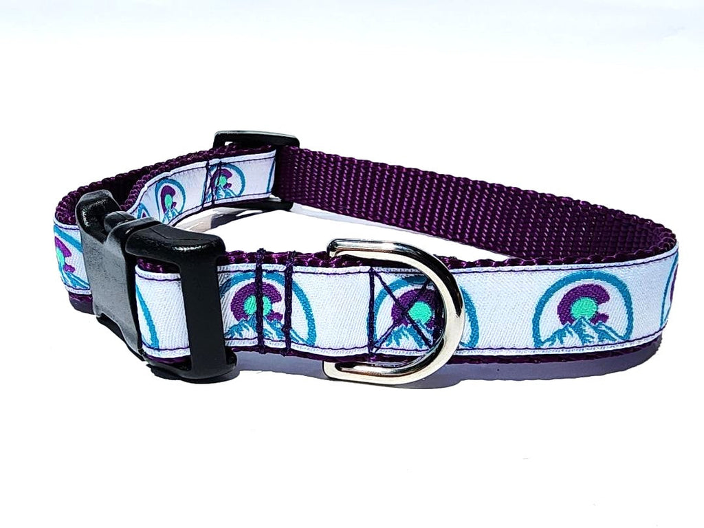 Colorado Purple Dog Collar or Leash image 6