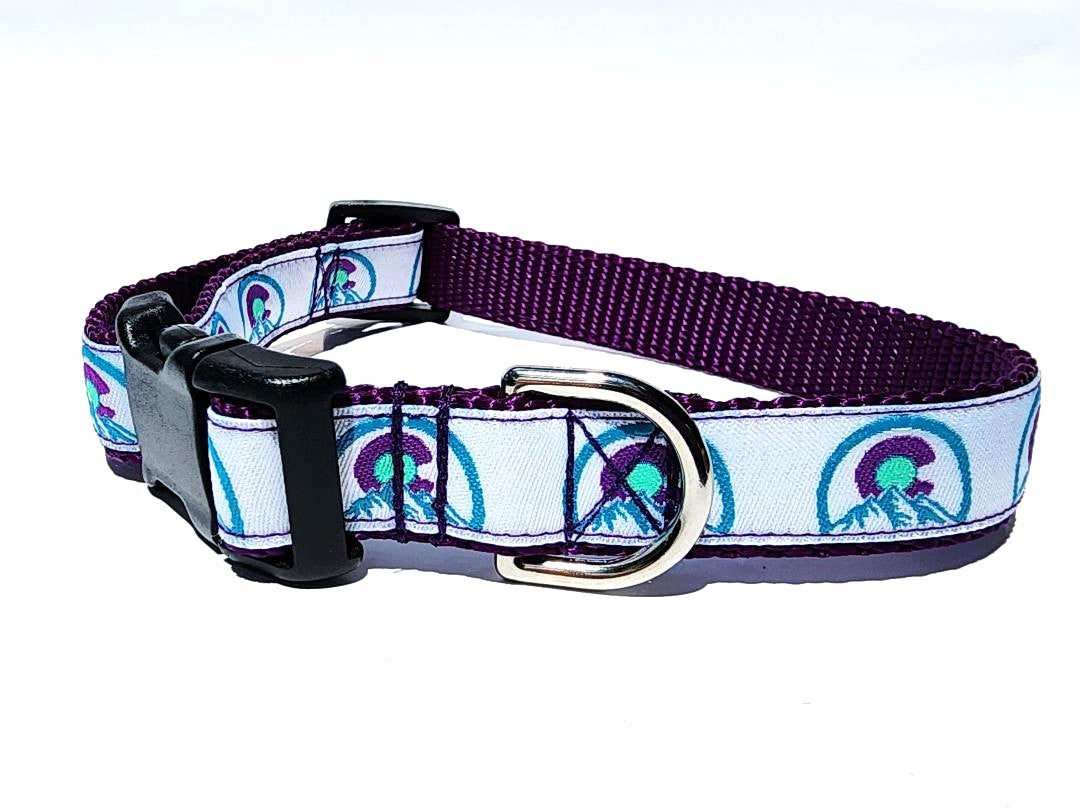 Colorado Purple Dog Collar or Leash image 6