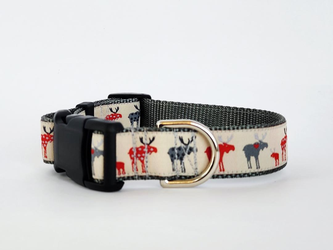 1" Moose Dog Collar or Leash image 4