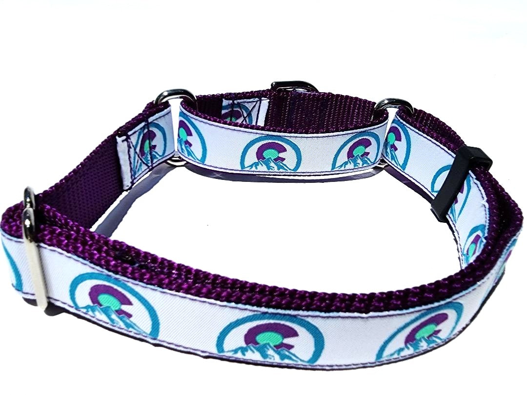 1" Purple Colorado Martingale Collar or Leash image 0
