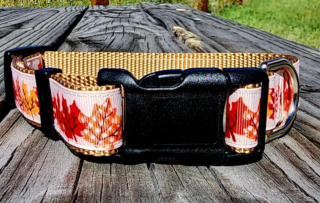 1" Fall Leaves Dog Collar, Leash, or Martinale image 4