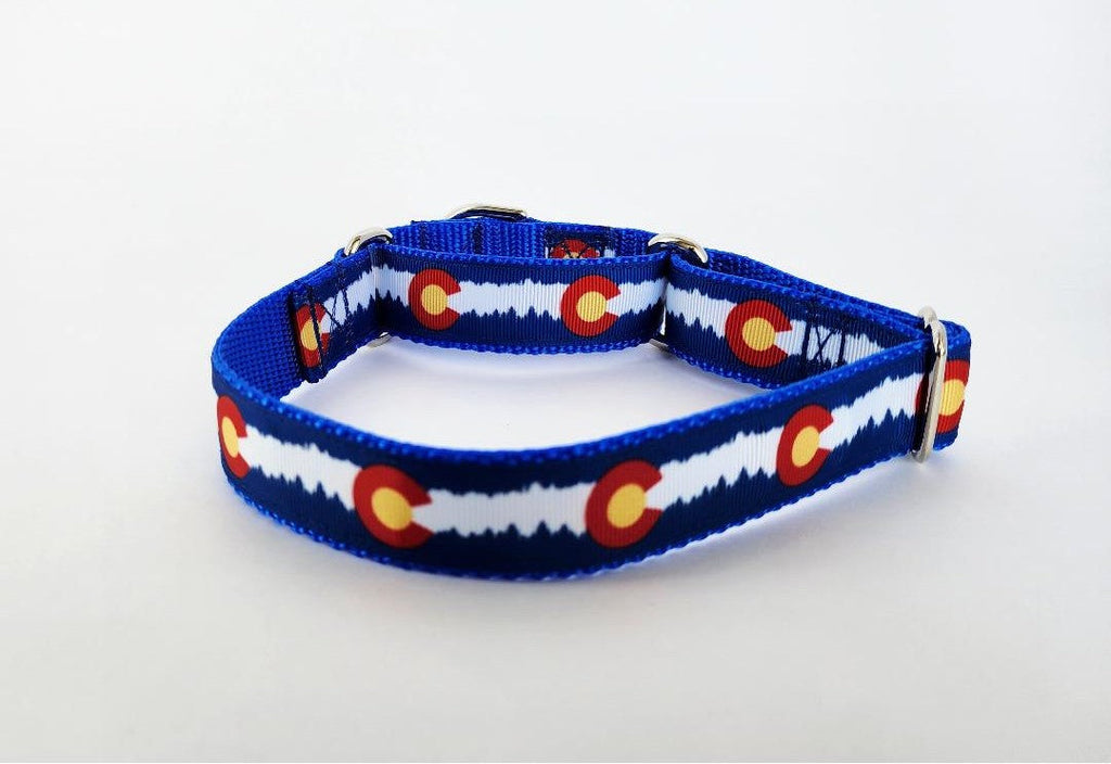 1" Blue Colorado Martingale Dog Collar image 0