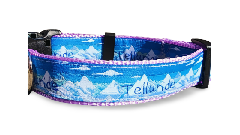 Telluride Colorado Dog Collar, Leash, Martingale, or Harness image 4