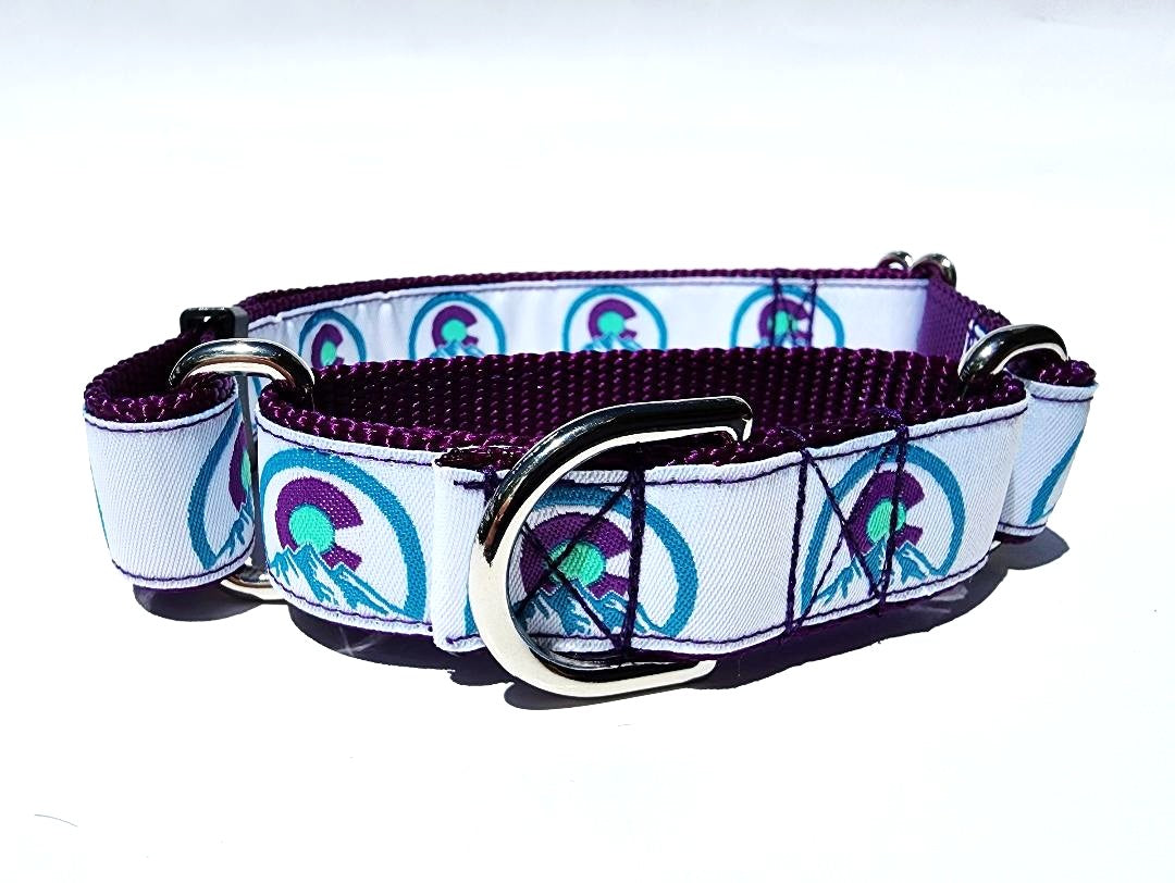 1" Purple Colorado Martingale Collar or Leash image 5