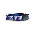 1" Avalanche Dog Collar, Leash, Martingale, or Harness image 3