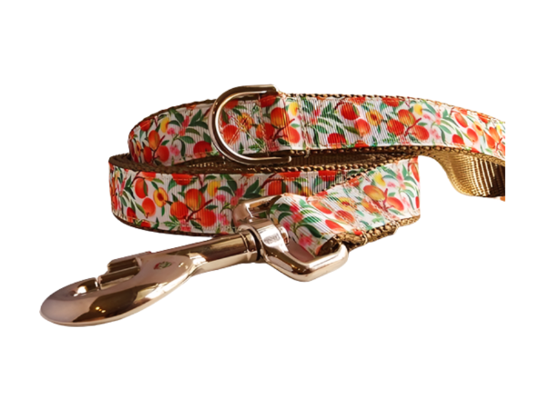 1" Peach Dog Collar, Leash, Martingale, or Harness image 3