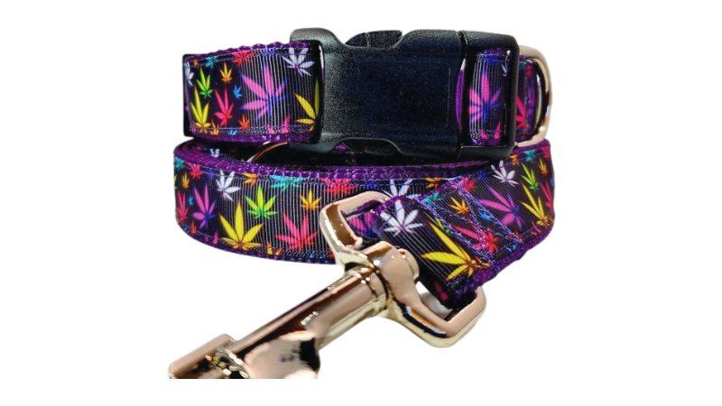 Purple Marijuana Dog Collar, Leash, Martingale, or Harness image 0