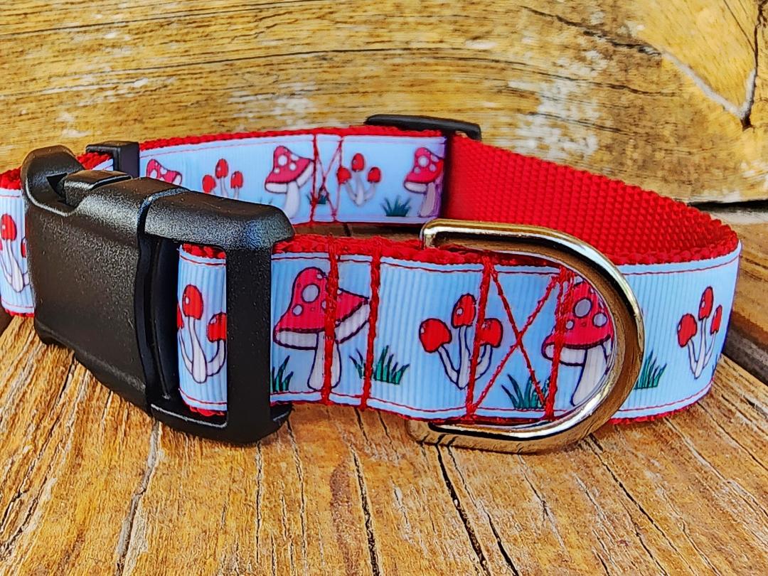 1" Mushroom Dog Collar, Leash, or Martingale image 3