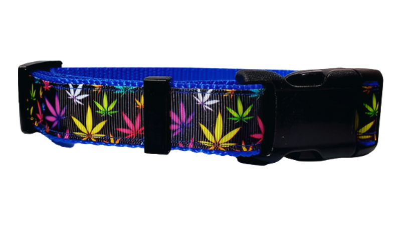 Blue Marijuana Dog Collar, Leash, Martingale, or Harness image 3