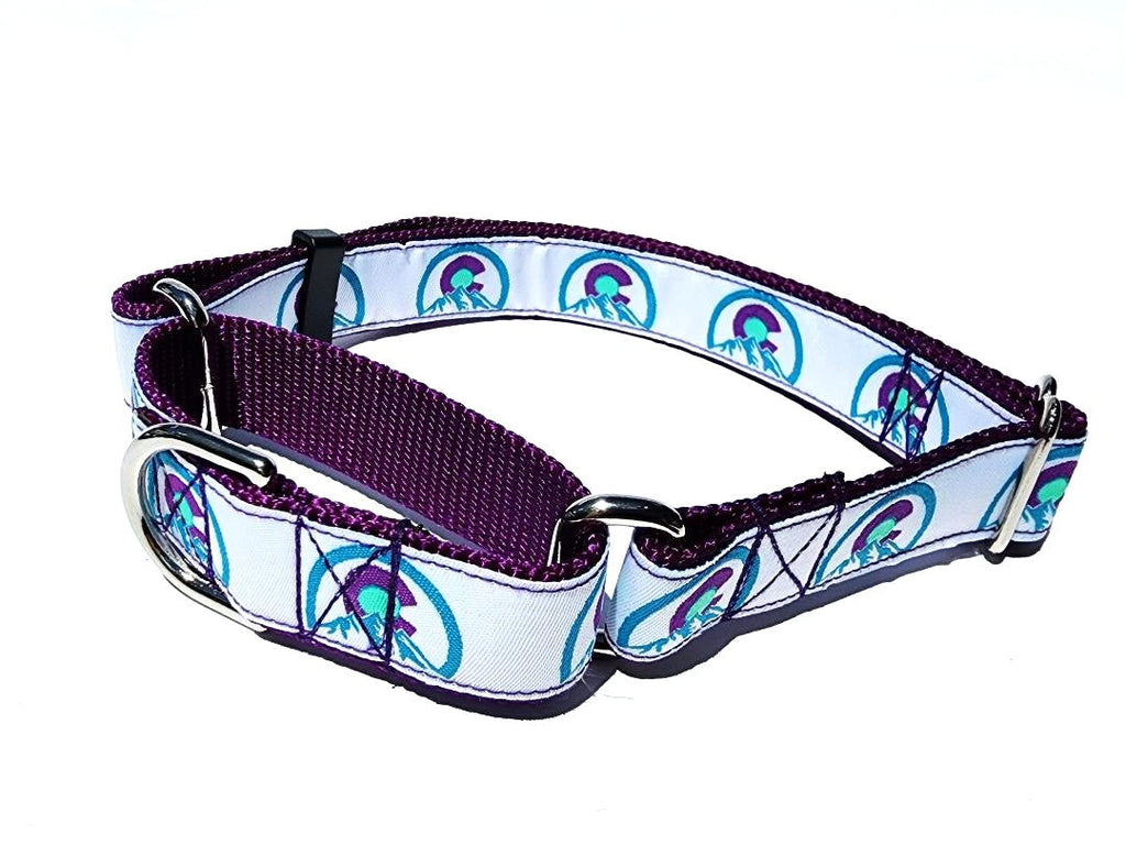 1" Purple Colorado Martingale Collar or Leash image 1