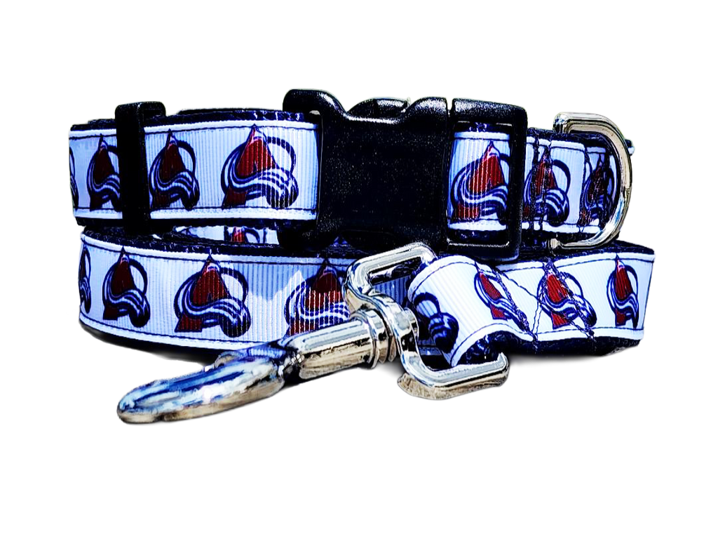 3/4" Avalanche Dog Collar or Leash