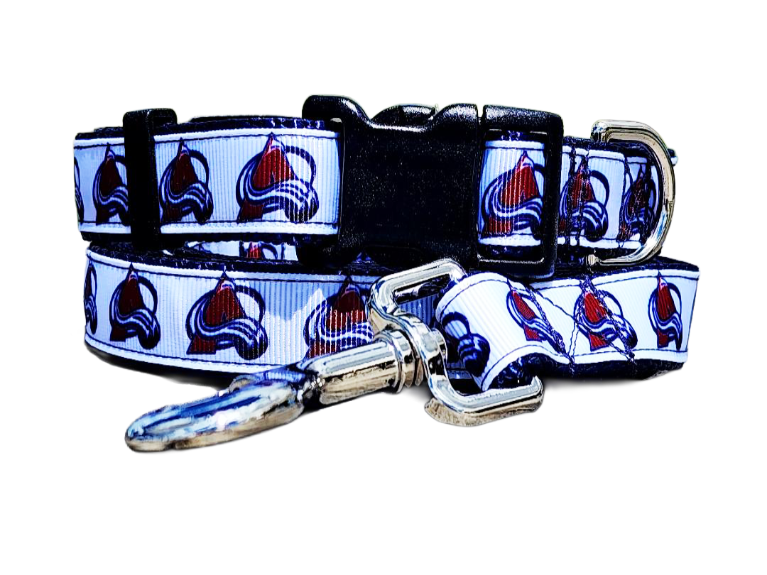 3/4" Avalanche Dog Collar or Leash